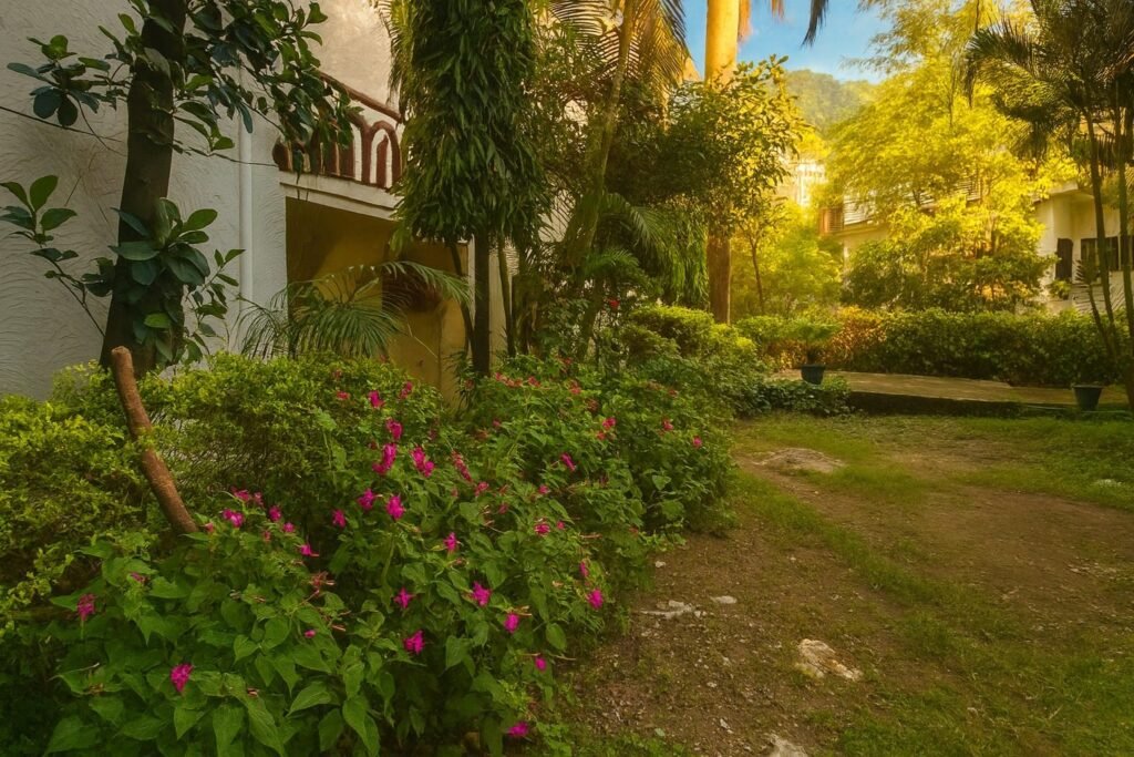 Landscaped garden lawn and flowering shrubs in warm evening light at Oslo Green by Around Stays